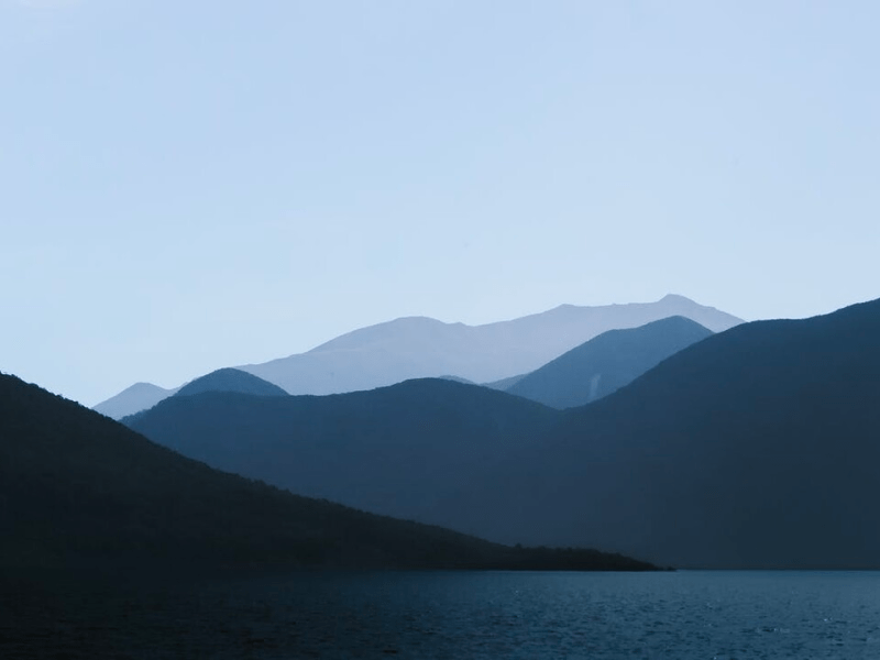 W5: The Future of Staffing&nbsp;Models